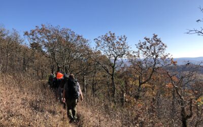 Ouachita Backpacking Trip – November 2019