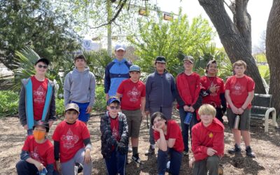 Conservation Service Project at Plano EEC